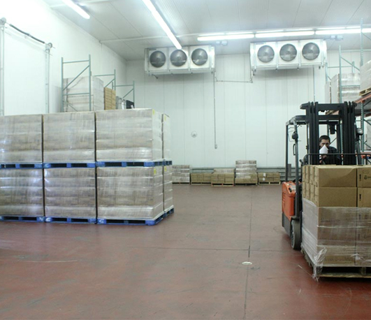 Storage and Warehousing services